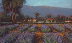 Ojai Lavender Field - Paula Somma