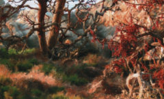 The Rusty Tree - Chris Stillians