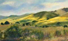 Suey Ranch Wildflowers - Lynn Attig