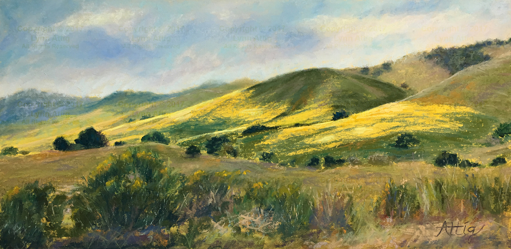 Suey Ranch Wildflowers - Lynn Attig