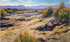 Desert Vista 1 - Frances Nichols