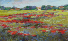 Poppies Field - Paula Brown