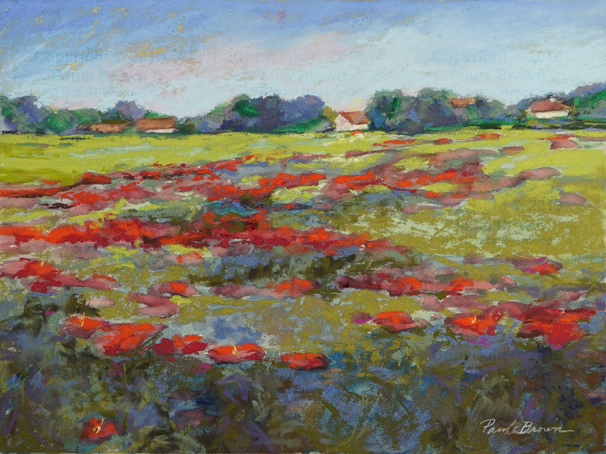 Poppies Field - Paula Brown