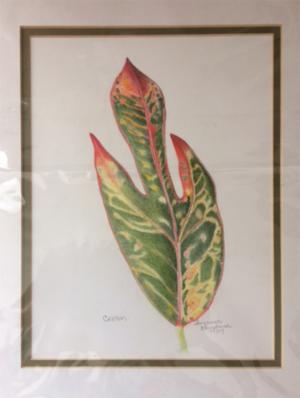 Original Botanical Colored Pencil
