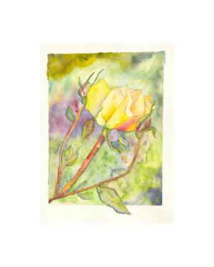 Framed Watercolor Giclee